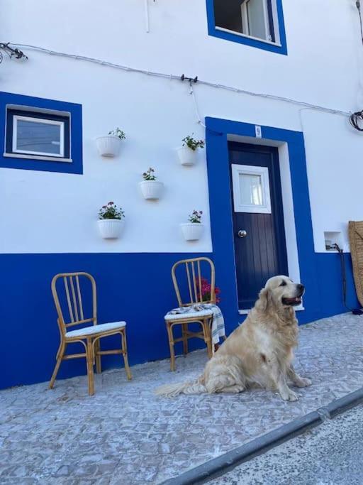 Casa Buganvilla Alcácer do Sal 外观 照片